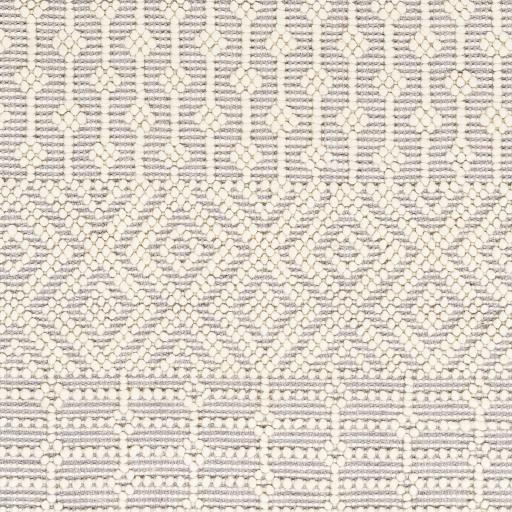 Surya Casa DeCampo CDC-2309 Ivory Light Gray 2'3" x 3'9" Rug