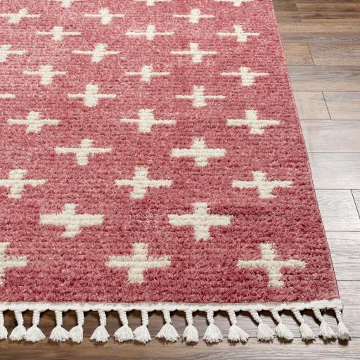 Surya Casablanca Shag CAG-2300 Burgundy Ivory 9'2" x 12' Rug