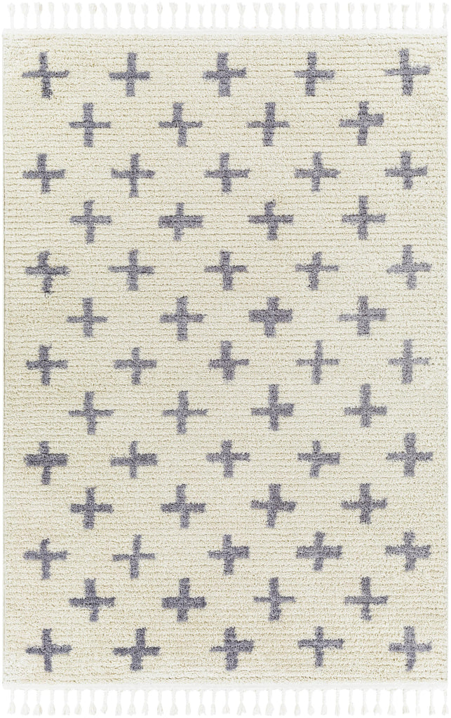 Surya Casablanca Shag CAG-2305 Ivory Medium Gray 9'2" x 12' Rug