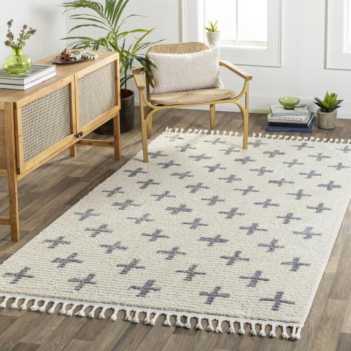 Surya Casablanca Shag CAG-2305 Ivory Medium Gray 9'2" x 12' Rug