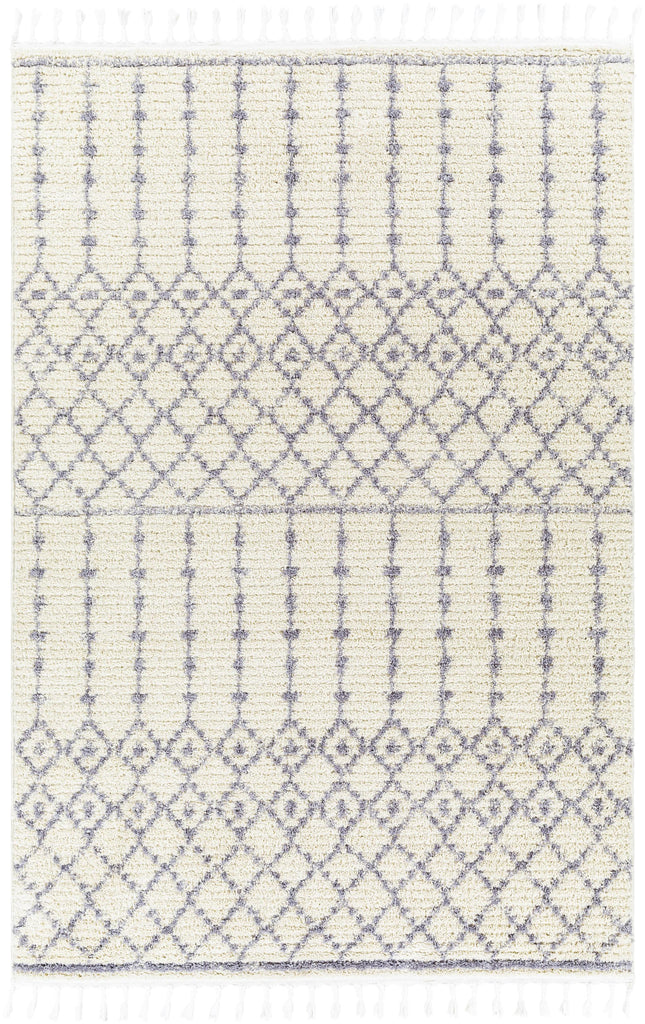 Surya Casablanca Shag CAG-2309 9'2" x 12' Rug