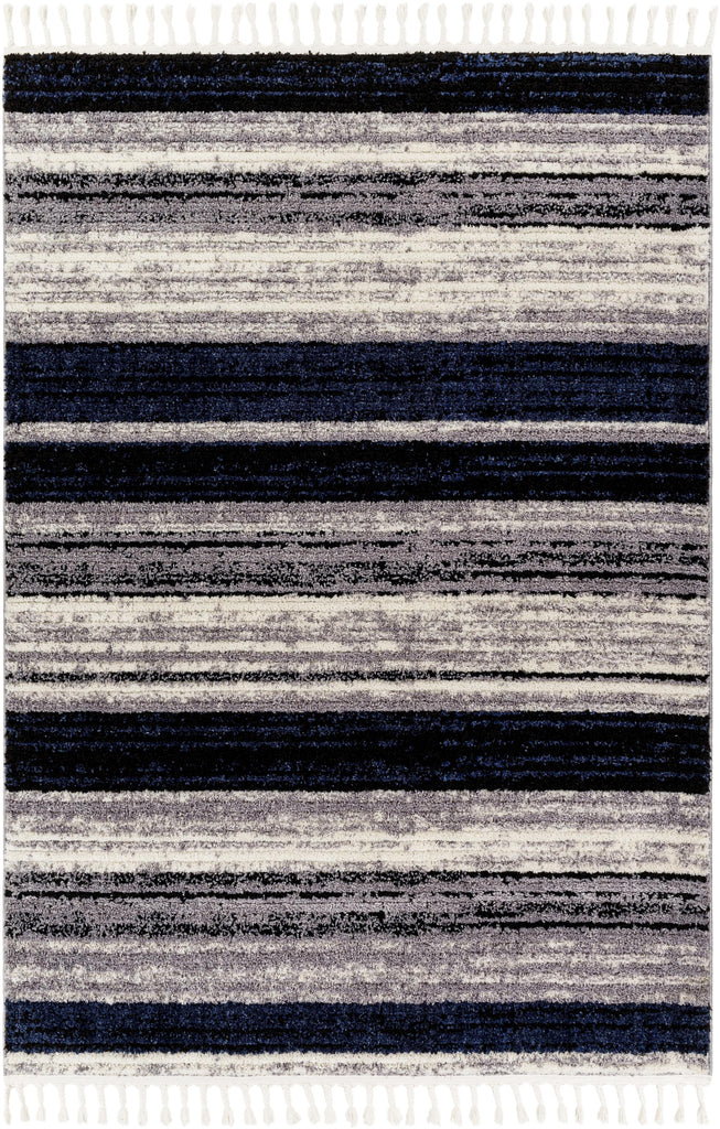 Surya Casablanca Shag CAG-2310 9'2" x 12' Rug