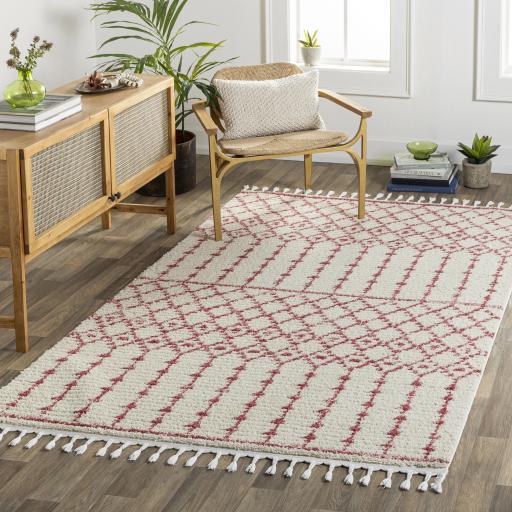 Surya Casablanca Shag CAG-2311 Burgundy Ivory 9'2" x 12' Rug