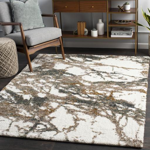 Surya Celestial Shag CSG-2303 Cream Dark Brown 2' x 2'11" Rug