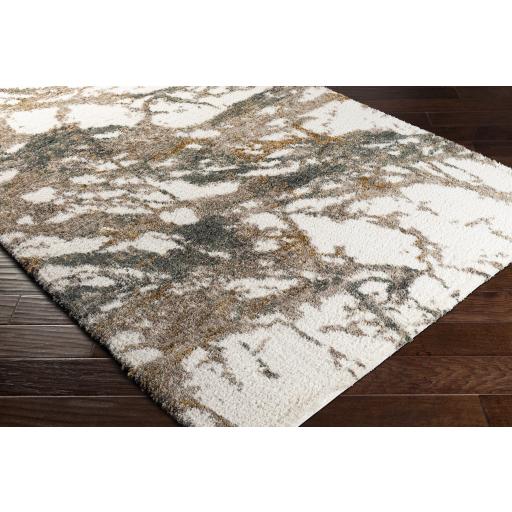 Surya Celestial Shag CSG-2303 Cream Dark Brown 2' x 2'11" Rug