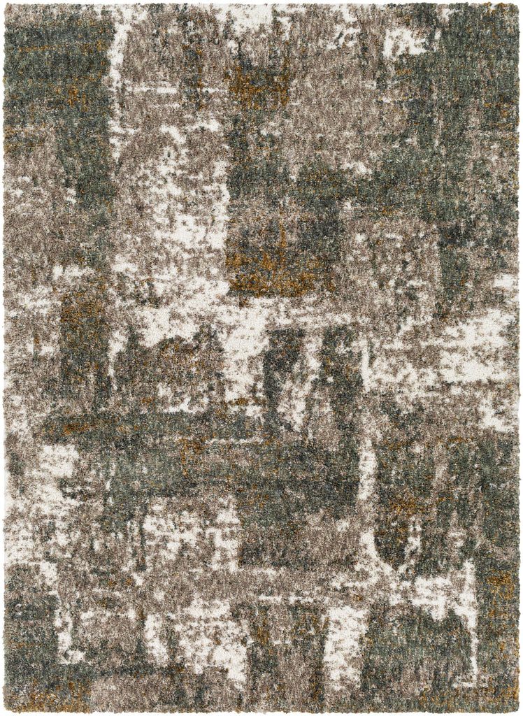 Surya Celestial Shag CSG-2306 Cream Dark Brown 2' x 2'11" Rug