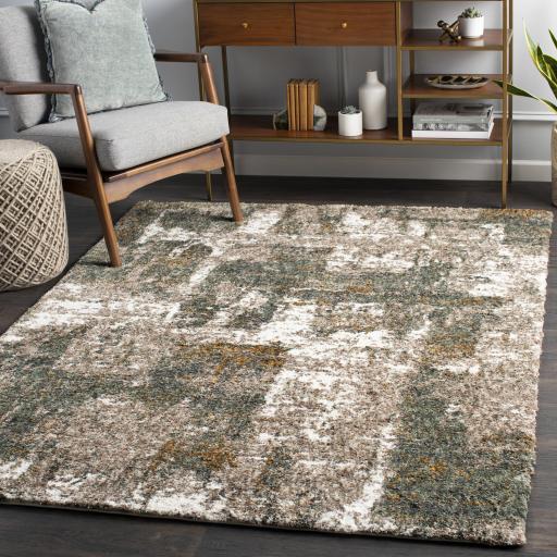 Surya Celestial Shag CSG-2306 Cream Dark Brown 2' x 2'11" Rug