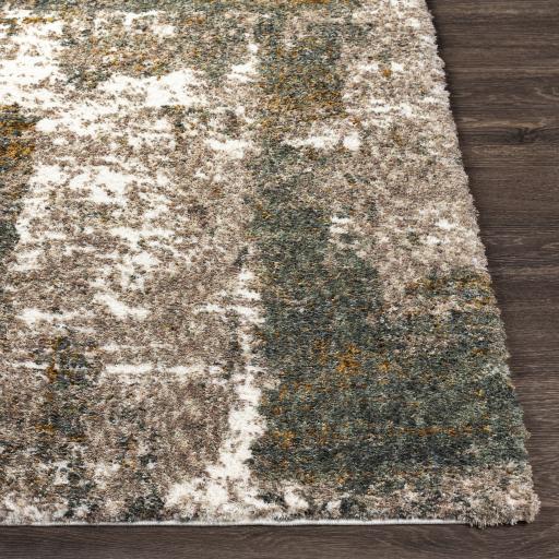 Surya Celestial Shag CSG-2306 Cream Dark Brown 2' x 2'11" Rug