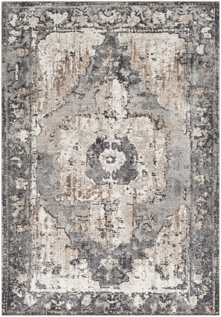 Surya Chelsea CSA-2304 5'3" Square Rug