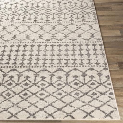 Surya Chester CHE-2319 Charcoal Light Beige 7'10" Square Rug