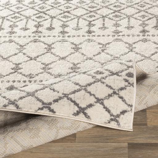 Surya Chester CHE-2319 Charcoal Light Beige 7'10" Square Rug