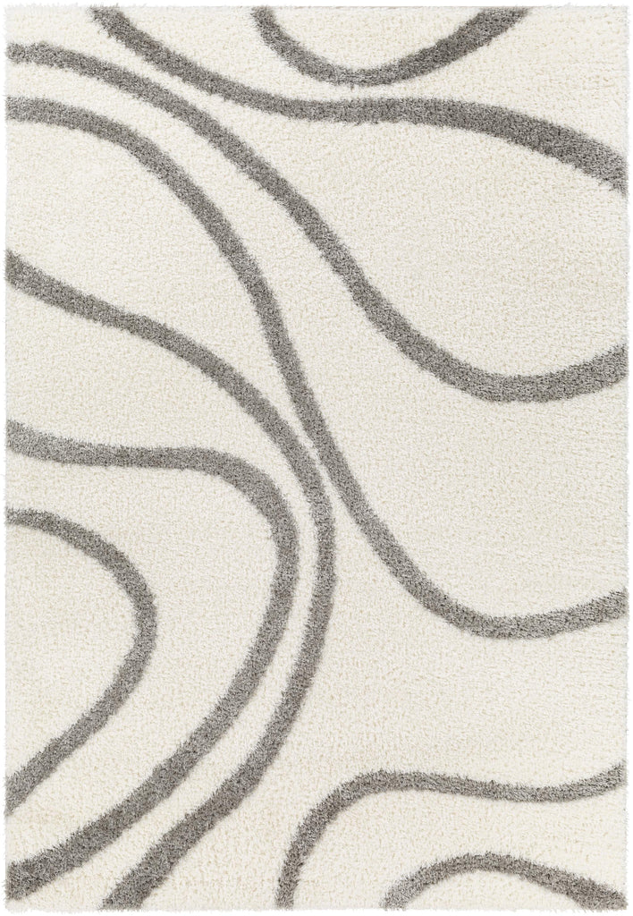 Surya Cloudy Shag CDG-2300 Gray Off-White 5'3" x 7' Rug