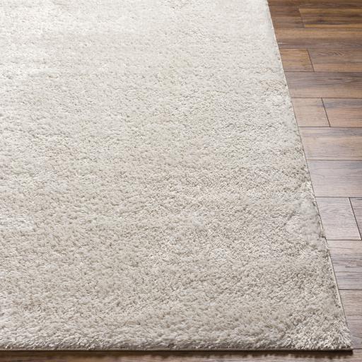 Surya Cloudy Shag CDG-2301 Light Beige 5'3" x 7' Rug