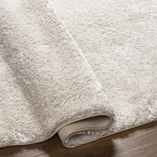 Surya Cloudy Shag CDG-2301 Light Beige 5'3" x 7' Rug