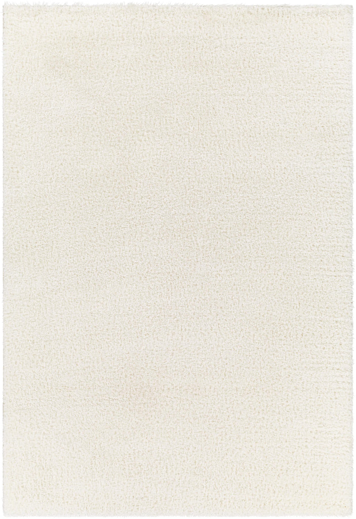 Surya Cloudy Shag CDG-2302 Off-White 5'3" x 7' Rug