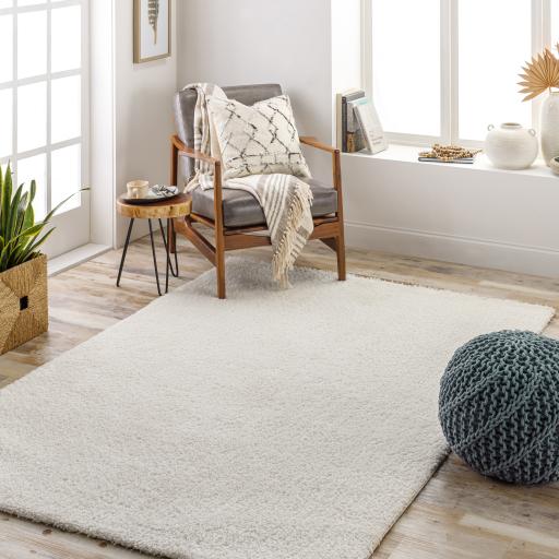 Surya Cloudy Shag CDG-2302 Off-White 5'3" x 7' Rug