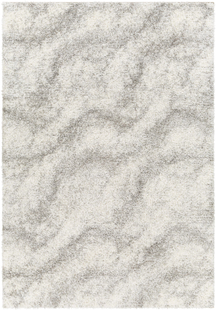 Surya Cloudy Shag CDG-2306 Gray Off-White 5'3" x 7' Rug