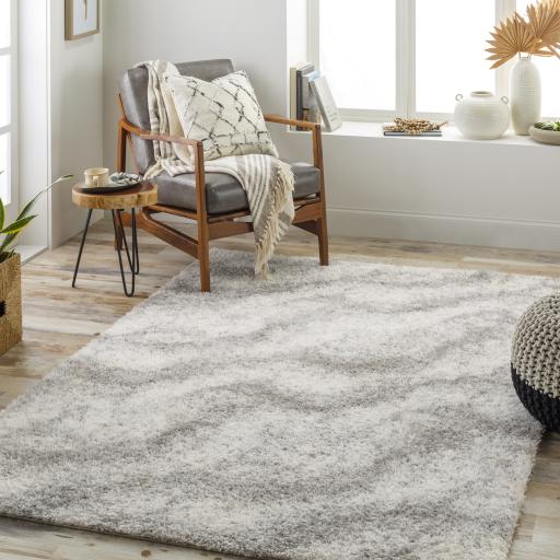 Surya Cloudy Shag CDG-2306 Gray Off-White 5'3" x 7' Rug