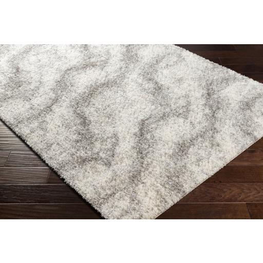 Surya Cloudy Shag CDG-2306 Gray Off-White 5'3" x 7' Rug