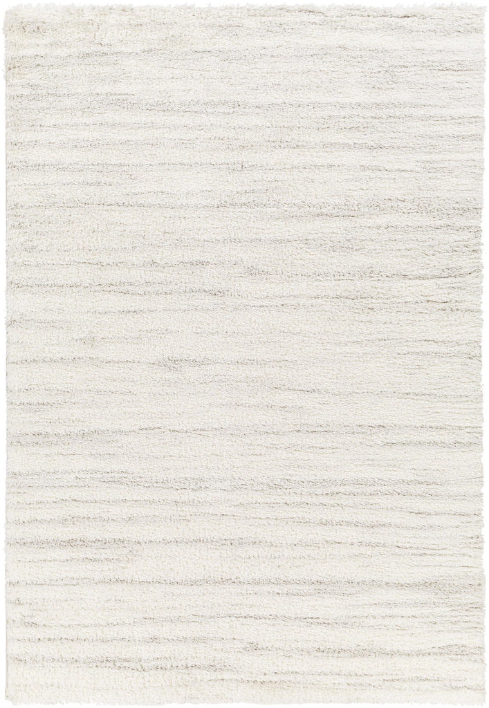 Surya Cloudy Shag CDG-2307 Gray Off-White 5'3" x 7' Rug