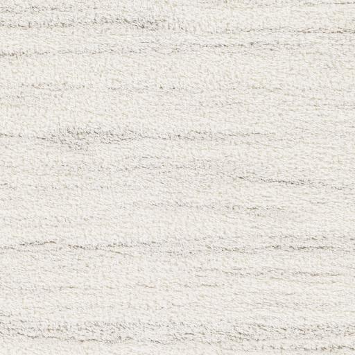 Surya Cloudy Shag CDG-2307 Gray Off-White 5'3" x 7' Rug