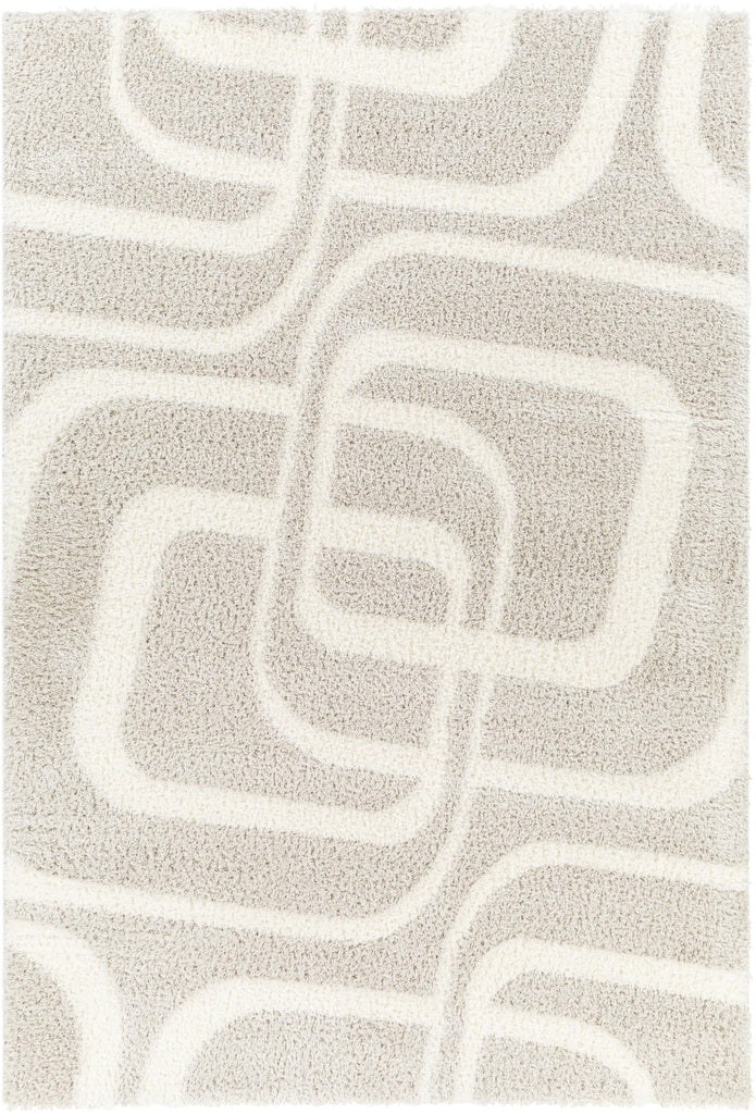 Surya Cloudy Shag CDG-2309 Light Beige Off-White 5'3" x 7' Rug