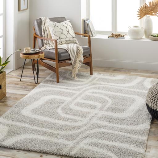 Surya Cloudy Shag CDG-2309 Light Beige Off-White 5'3" x 7' Rug