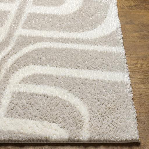 Surya Cloudy Shag CDG-2309 Light Beige Off-White 5'3" x 7' Rug