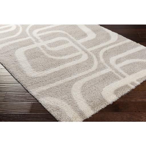 Surya Cloudy Shag CDG-2309 Light Beige Off-White 5'3" x 7' Rug