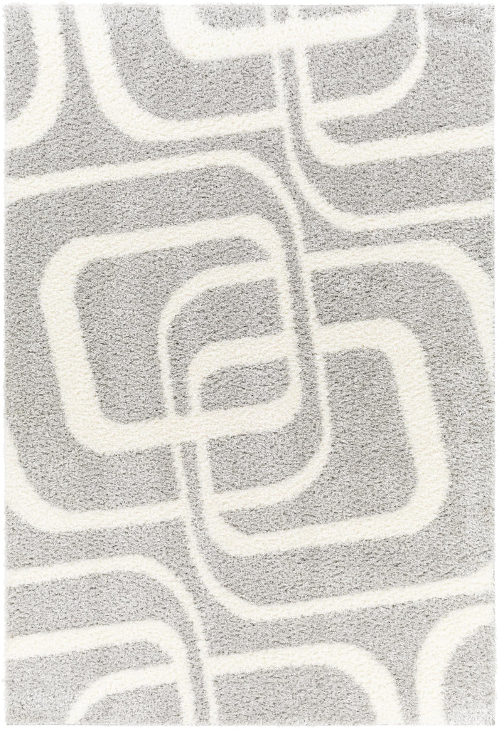 Surya Cloudy Shag CDG-2310 Gray Off-White 6'7" x 9' Rug