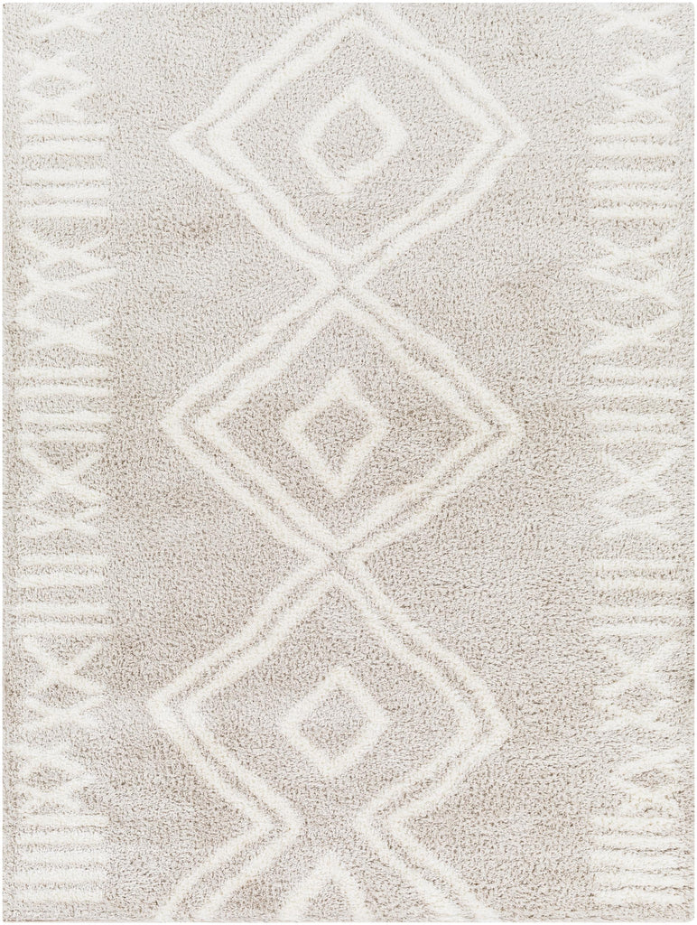 Surya Cloudy Shag CDG-2311 Light Beige Off-White 5'3" x 7' Rug