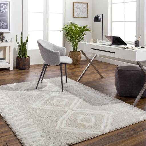 Surya Cloudy Shag CDG-2311 Light Beige Off-White 5'3" x 7' Rug