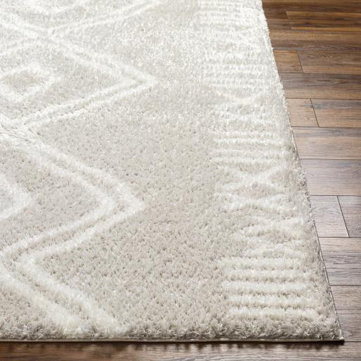 Surya Cloudy Shag CDG-2311 Light Beige Off-White 5'3" x 7' Rug