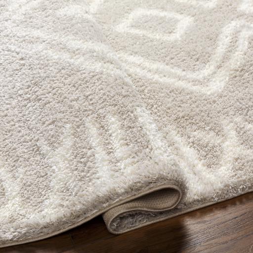 Surya Cloudy Shag CDG-2311 Light Beige Off-White 5'3" x 7' Rug