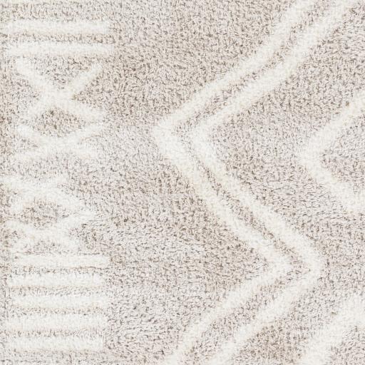 Surya Cloudy Shag CDG-2311 Light Beige Off-White 5'3" x 7' Rug