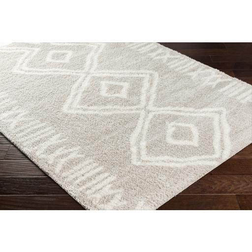 Surya Cloudy Shag CDG-2311 Light Beige Off-White 5'3" x 7' Rug