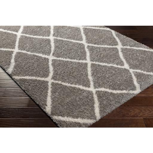 Surya Cloudy Shag CDG-2313 Charcoal Off-White 5'3" x 7' Rug