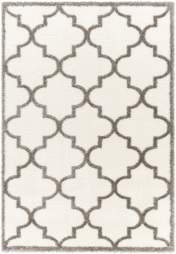 Surya Cloudy Shag CDG-2314 Gray Off-White 5'3" x 7' Rug