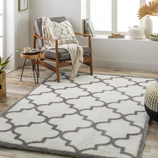 Surya Cloudy Shag CDG-2314 Gray Off-White 5'3" x 7' Rug