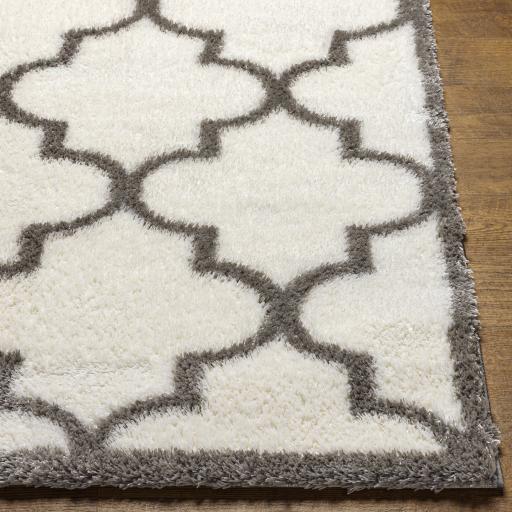 Surya Cloudy Shag CDG-2314 Gray Off-White 5'3" x 7' Rug