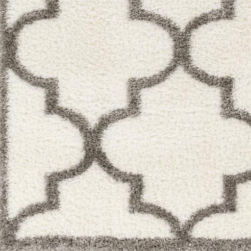 Surya Cloudy Shag CDG-2314 Gray Off-White 5'3" x 7' Rug