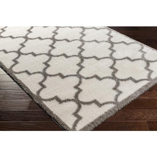 Surya Cloudy Shag CDG-2314 Gray Off-White 5'3" x 7' Rug