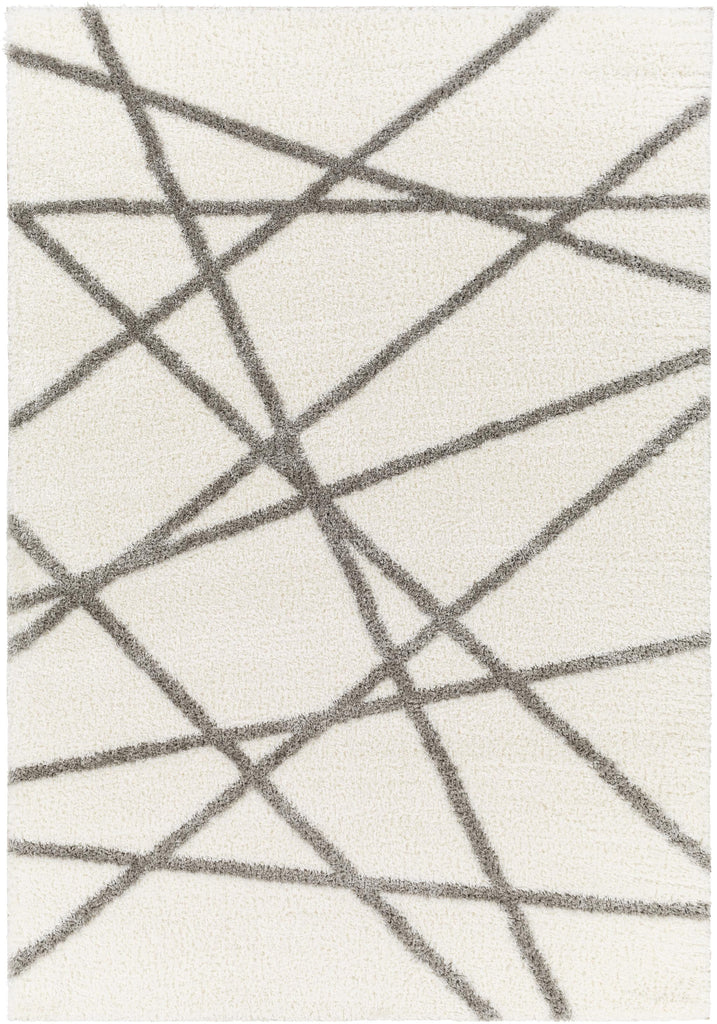 Surya Cloudy Shag CDG-2316 Gray Off-White 5'3" x 7' Rug