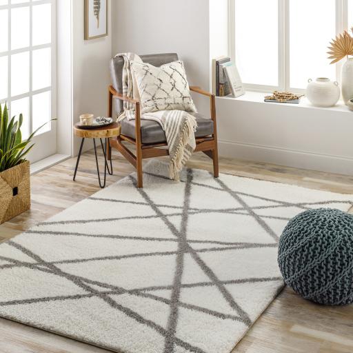 Surya Cloudy Shag CDG-2316 Gray Off-White 5'3" x 7' Rug