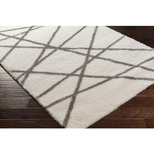 Surya Cloudy Shag CDG-2316 Gray Off-White 5'3" x 7' Rug