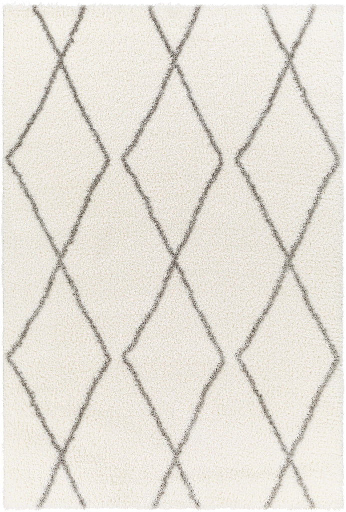 Surya Cloudy Shag CDG-2317 Gray Off-White 5'3" x 7' Rug