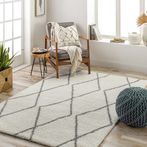 Surya Cloudy Shag CDG-2317 Gray Off-White 5'3" x 7' Rug