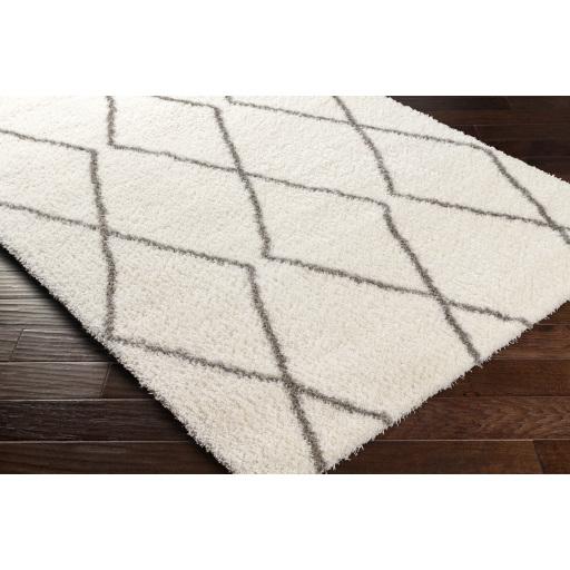 Surya Cloudy Shag CDG-2317 Gray Off-White 5'3" x 7' Rug