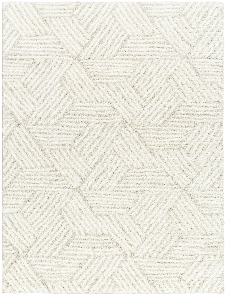 Surya Cloudy Shag CDG-2319 5'3" x 7' Rug