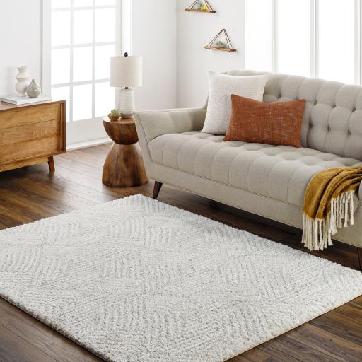 Surya Cloudy Shag CDG-2319 Light Beige Off-White 5'3" x 7' Rug